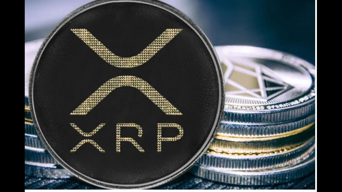 best wallet for XRP